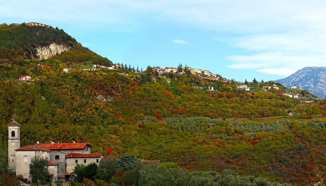 Villetta Ulivi Ca7 Sun Terrace By Gardadomusmea Tremosine Экстерьер фото
